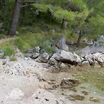 Kondic 奥米沙利